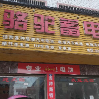 黄梅骆驼蓄电池