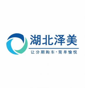 湖北泽美汽车咨询服务有限公司